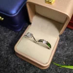 Premium Stone Silver Couple Ring