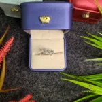 Premium Silver Ring with Stone