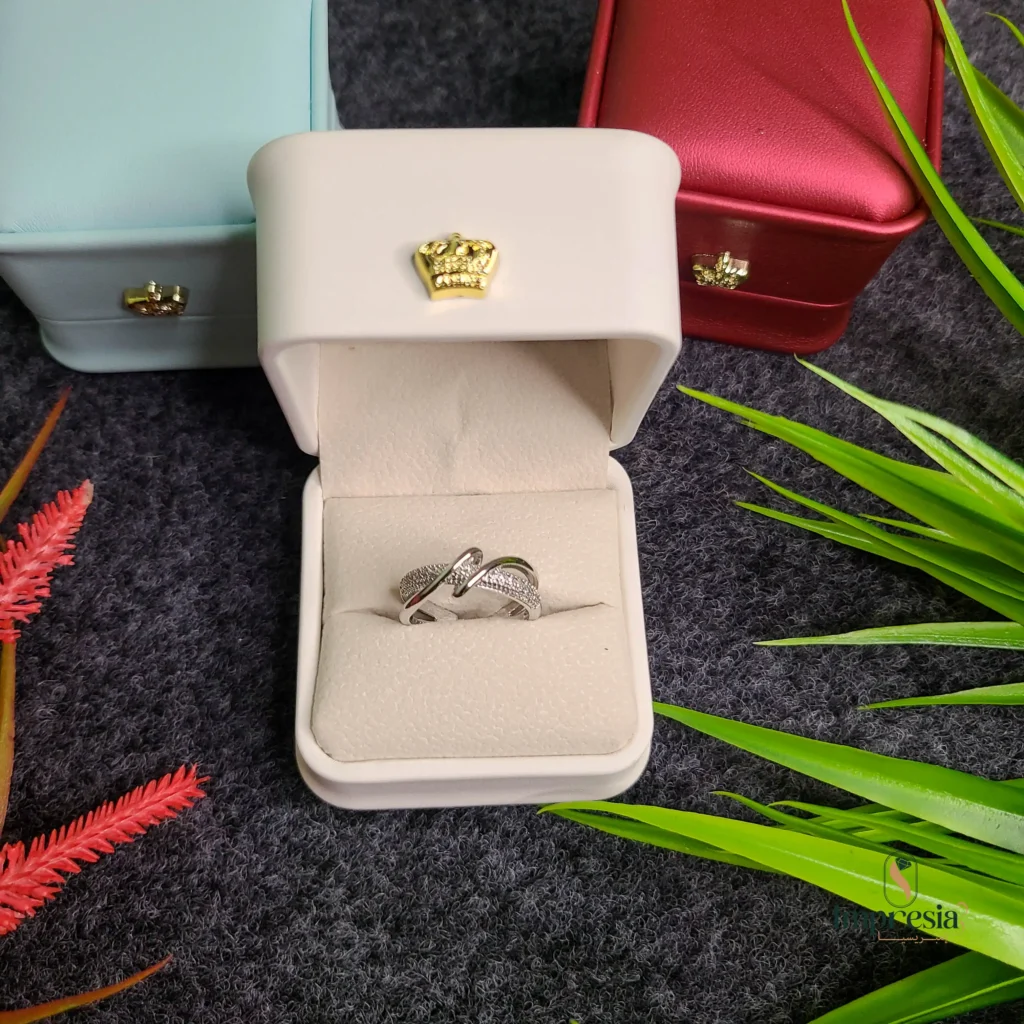 Restocked Premium Silver Ring