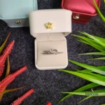 Restocked Premium Silver Ring