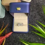 Luxury Silver Stone Ring