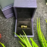 Premium Gold Ring