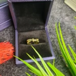Premium Gold Ring