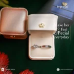 Premium Stone Silver Couple Ring